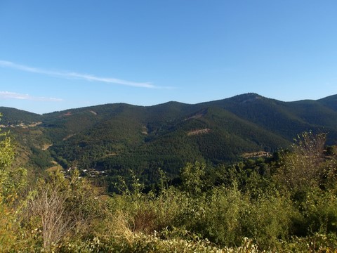 Paysage d'Ardèche verte, année 2023 (juillet/aout)